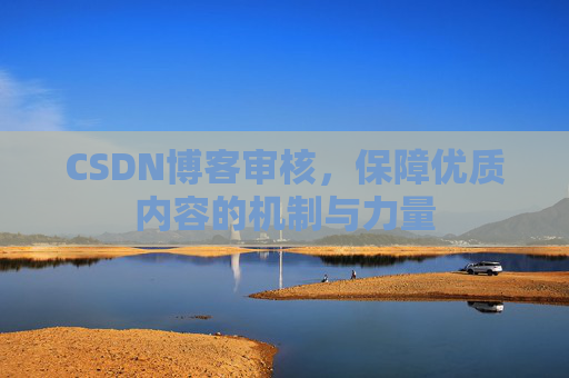 CSDN博客审核,保障优质内容的机制与力量
